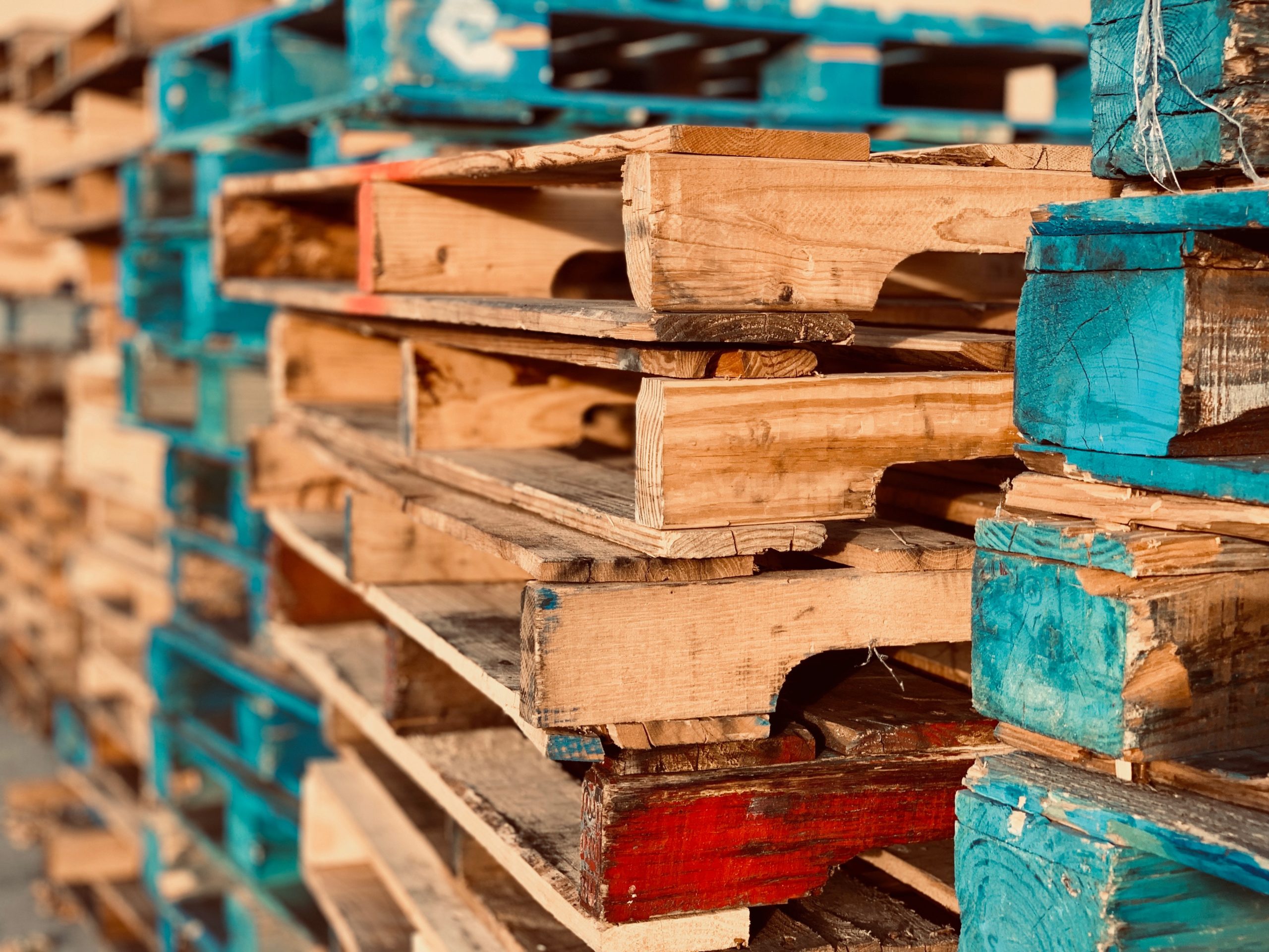 Requisitos fitosanitarios para la importación o entrada de embalajes y estibas de madera en la comunidad autónoma de Canarias.